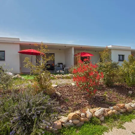 Lägenhet Levante Shared Swimming Pool Bbq Calenzana