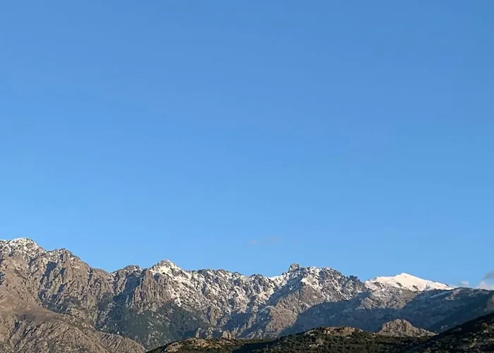 Levante Shared Swimming Pool Bbq *