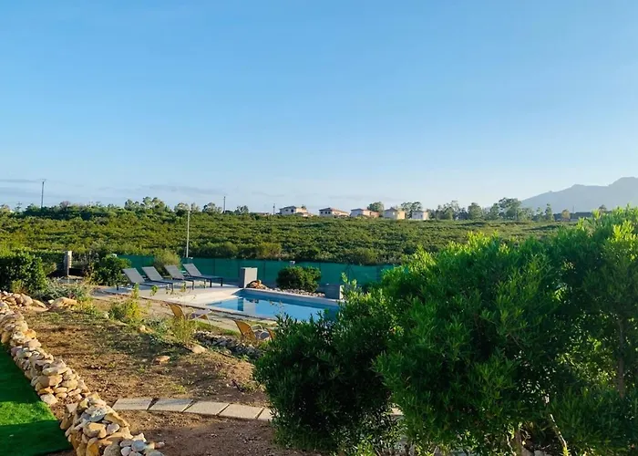 Levante Shared Swimming Pool Bbq